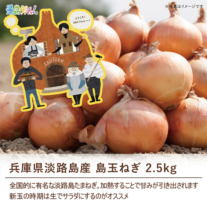 淡路島産島玉ねぎ 2.5kg – 結婚式、イベント,ゴルフのギフト景品の通販